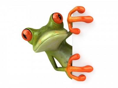 Frogs & toads: injury or illness